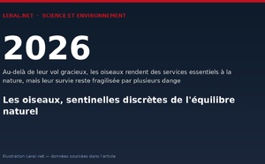 Les oiseaux, sentinelles discrètes de l'équilibre naturel