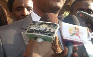 Accusations de deal, voyage de Karim Wade au Qatar, Haut Conseil : Mame Boye Diao charge Idrissa Seck et encense Tanor