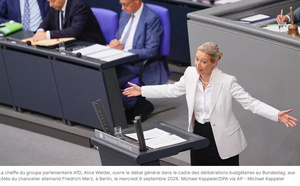 Allemagne: passe d'armes au Bundestag entre Merz et l'AfD en position de force