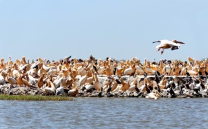 1ère Edition du concours sur le tourisme durable : Orni Tourisme Sénégal séduit le jury