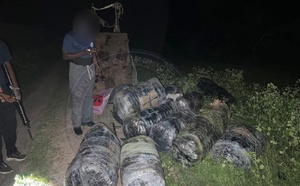 Mbodiène : six individus armés de machettes prennent la fuite, 375 kg de chanvre saisis