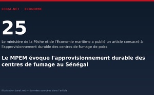 Le MPEM évoque l'approvisionnement durable des centres de fumage au Sénégal
