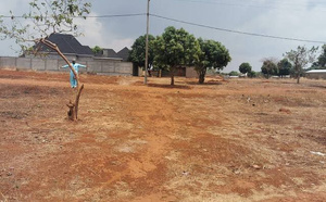 Saisie immobilière : un terrain de Niacoulrab adjugé à 42 millions FCFA à la Bimao