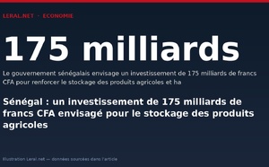 Sénégal : un investissement de 175 milliards de francs CFA envisagé pour le stockage des produits agricoles