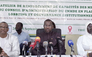 Elevage : le ministre Ousmane Diagne plaide pour des organisations d'éleveurs plus fortes