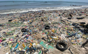 Thiaroye-sur-Mer : la plage transformée en décharge à ciel ouvert