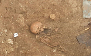 Ossements retrouvés près du palais : le médecin légiste privilégie une mort naturelle
