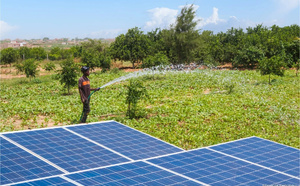 Energie solaire au Sénégal : les agriculteurs du Walo toujours otages du gasoil