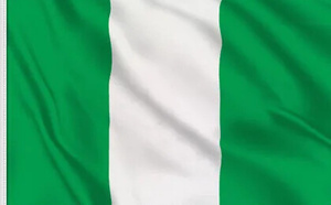 Nigeria : une vingtaine de jeunes diplômés enlevés et retenus dans une forêt piégée