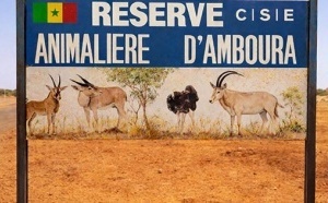 Podor : la réserve d'Amboura, un pari réussi pour la faune sahélienne