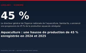 Aquaculture : une hausse de production de 45 % enregistrée en 2024 et 2025