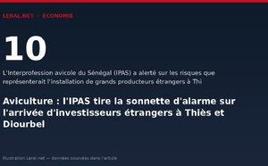 Aviculture : l'IPAS tire la sonnette d'alarme sur l'arrivée d'investisseurs étrangers à Thiès et Diourbel