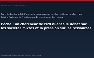 Pêche : un chercheur de l'Ird nuance le débat sur les sociétés mixtes et la pression sur les ressources