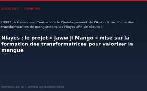 Niayes : le projet « Jaww Ji Mango » mise sur la formation des transformatrices pour valoriser la mangue