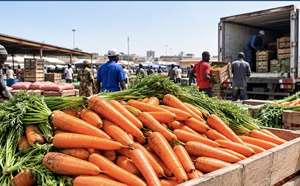 Carottes : le gel des importations levé depuis le 14 octobre