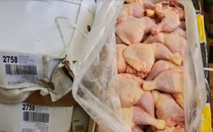 Gendarmerie : six tonnes de cuisses de poulet de contrebande interceptées au large de Dakar