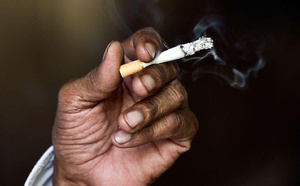 Tabac : le Sénégal se dote d'un tableau de bord national des données