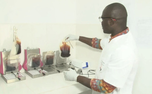 Kaolack : près de 8 000 poches de sang collectées en dix mois par le Centre régional de transfusion sanguine