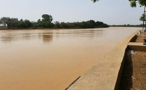 Crue du fleuve Sénégal : Podor et Richard-Toll proches de leurs seuils d’alerte