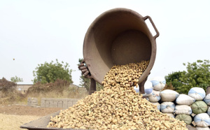 Campagne agricole 2026-2027 : le gouvernement veut mieux articuler production et commercialisation
