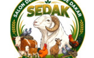 SEDAK 2026 : le mouton Ladoum à l’honneur et les éleveurs de Dakar appelés à s’unir