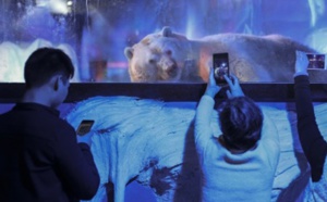 En Chine, un centre commercial exhibe des animaux dans des conditions de détention scandaleuses.