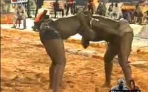 Baye Mandione/King Kong : la montagne accouche d’une souris