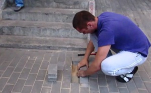 Un homme sauve la vie d'une chienne enterrée vivante