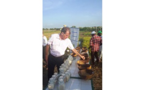 Visite du Ministre Le Foll au Sénégal : Au cœur de l’initiative « 4 pour 1000, des sols pour la sécurité alimentaire et le climat »