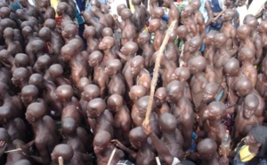 Urgent : la foudre tue 4 initiés dans le Bois Sacré de la Casamance