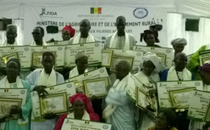 Soirée de partage des résultats du projet d'appui aux filières agricoles : Les meilleurs producteurs ont reçu des épis d'or