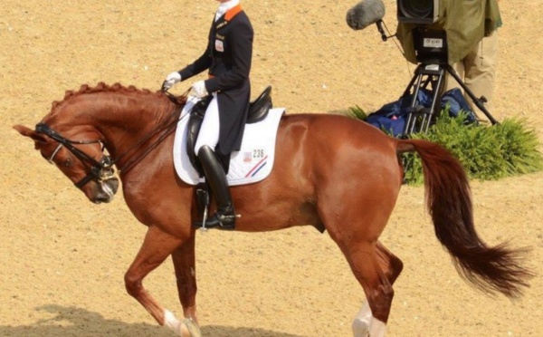 Une cavalière se retire des JO pour protéger son cheval