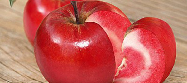 13 fruits totalement insolites qui vont vous faire halluciner par leurs particularités étonnantes et extraordinaires !
