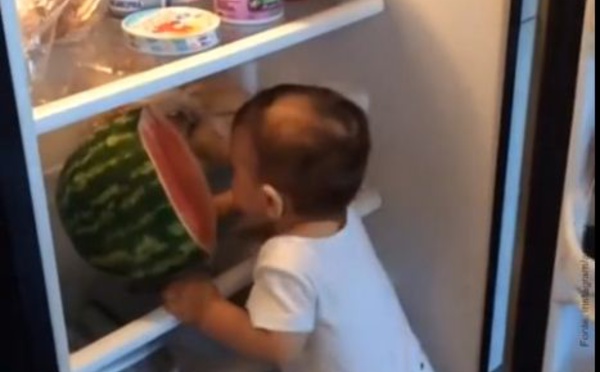 Vidéo: Bébé et la pastèque dans le frigo
