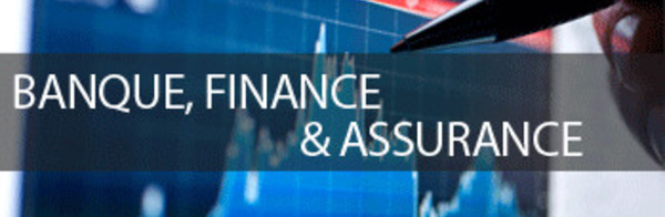 Une jeune dame cherche travail dans le domaine de la banque finances... 