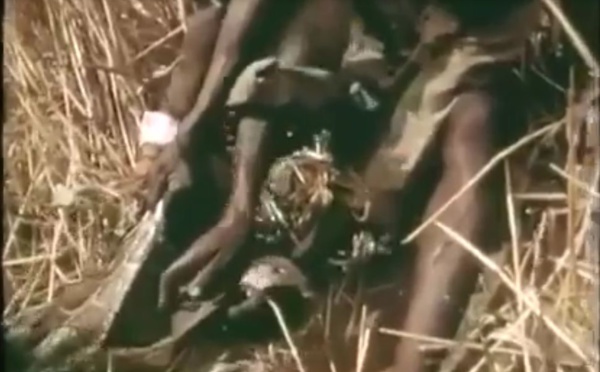 Vidéo: Attraper un gros serpent avec ta jambe comme appât, regardez!!