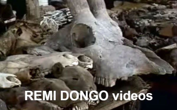 Documentaire: le  Vaudou, de quoi s'agit-il ?