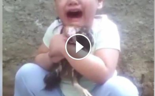 EMOUVANT : Une petite fille pleure à chaudes larmes pour son pigeon mort, poignant