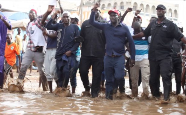 Bougazelli : « Malick Gackou verse dans l’imposture en pataugeant dans les eaux stagnantes»