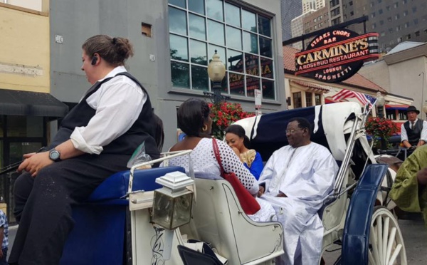 8 photos : Cheikh Bethio version touriste en calèche avec ses épouses