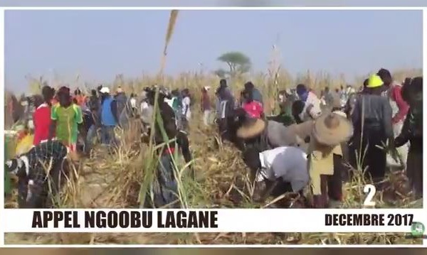 Vidéo : Appel Ngoobu Lagane 2017, Samuel Sarr fin prêt pour le Barkèlou le 2 décembre