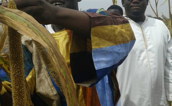 Photos: Ngoobu Lagane 2017, Le Barkèlou de Samuel Sarr 