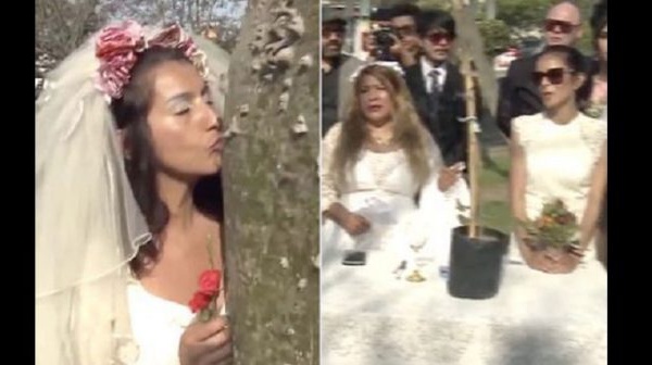 Pérou-Insolite : elles se marient à des arbres pour une raison incroyable (Vidéo)