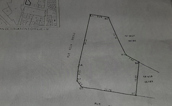 Urgent : Terrain à vendre titre foncier 1000 m2, rue Tolbiac, au cœur de Dakar Plateau, contact : +22176 573 30 76
