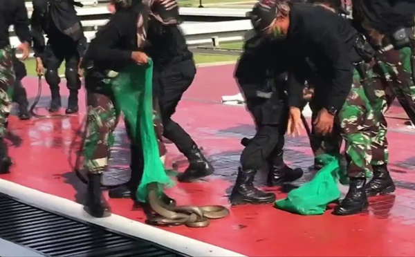 VIDEO - Indonésie: des soldats boivent du sang de cobra pour impressionner un ministre américain