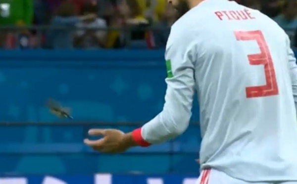 Isco et Piqué reçoivent un prix pour avoir sauvé un oiseau pendant un match