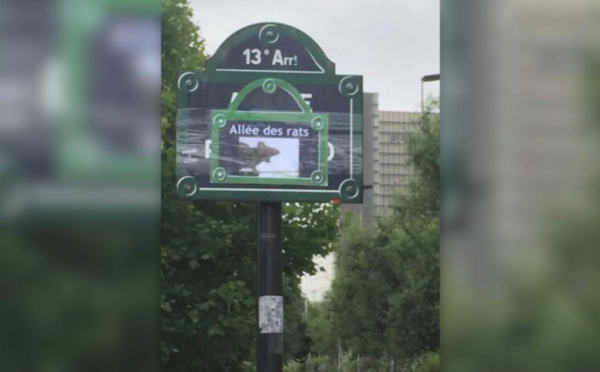 Paris: dans le 13e, une rue rebaptisée "l'allée des rats"