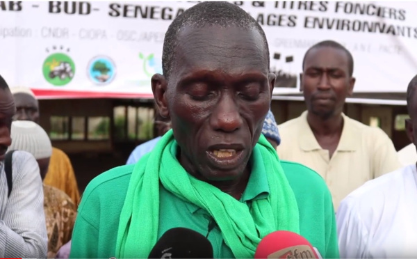 Sanglkam- Baobab de « Bud Sénégal » : Le collectif pour la défense du foncier dénonce l’injustice 
