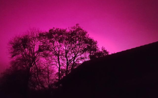 EN IMAGES - Nantes : en pleine nuit, un ciel violet intrigue les habitants