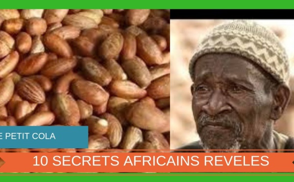VIDEO - 10 incroyables vertus du Petit Cola, Bitter Kola, Mbitakola ou Garcinia Cola | Nature Sante